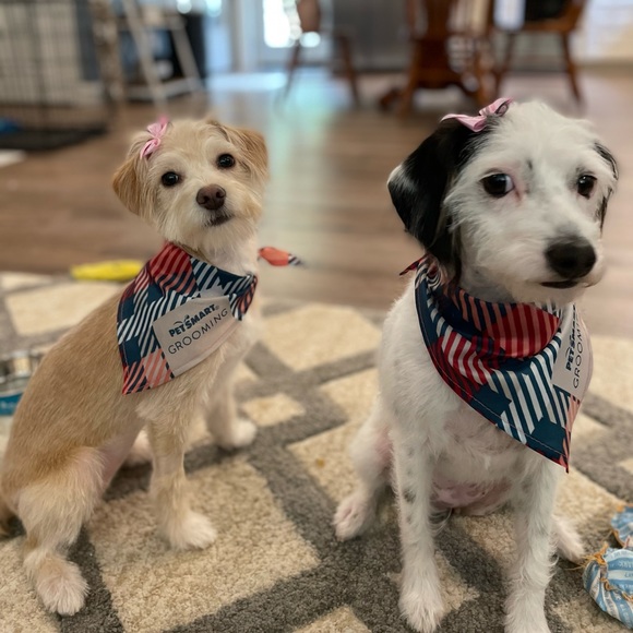 Meet your Posher, Jessica - Picture 5 of 9